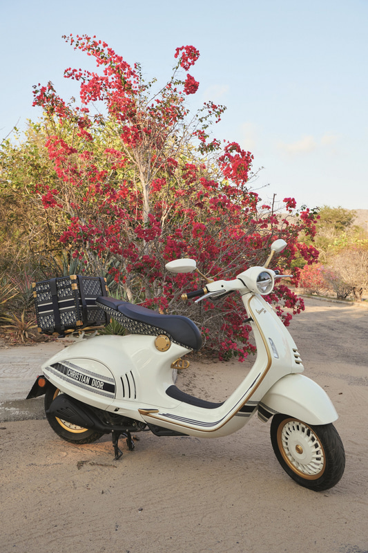 ベスパ 946 クリスチャン ディオール