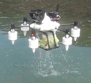 水面から離水し飛行する様子