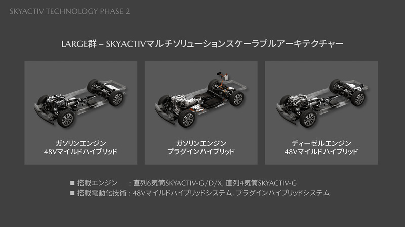 LARGE群では3つのタイプを設定