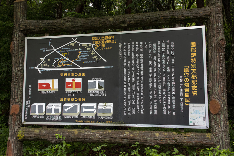 河口湖ICから富士宮方面へ向かう途中は富士山に由来の史跡が多い。鳴沢あたりで国道から少し入ったところにある「国指定特別天然記念物 鳴沢の溶岩樹型」というもの。クルマを止めて歩いて見られるものもある