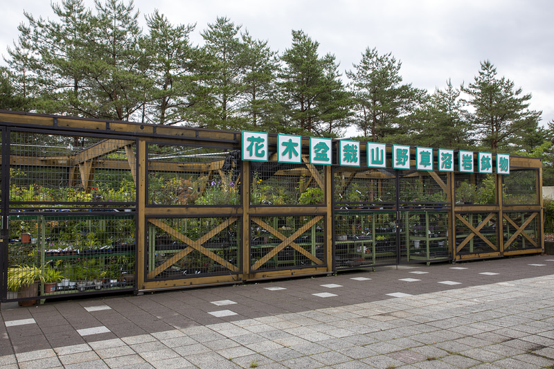 わき水エリアの後ろにある花木盆栽山野草溶岩鉢植物の販売所。以前、コケの盆栽が欲しかったこともあって見せてもらったことがある。売り場の人にいろいろ教えてもらったが、東京の気温では育てることが難しいとのことだったので断念した