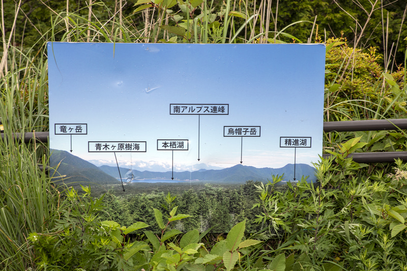 展望台から見える風景。展望台はカーブの途中にあるので、入退場時は通行車に特に注意したい