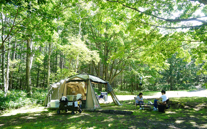 高床式なので雨天時も安心