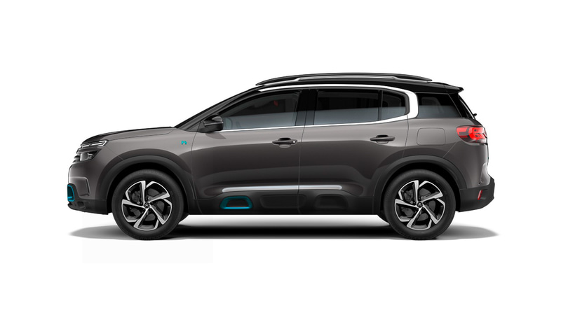 グリ プラチナム