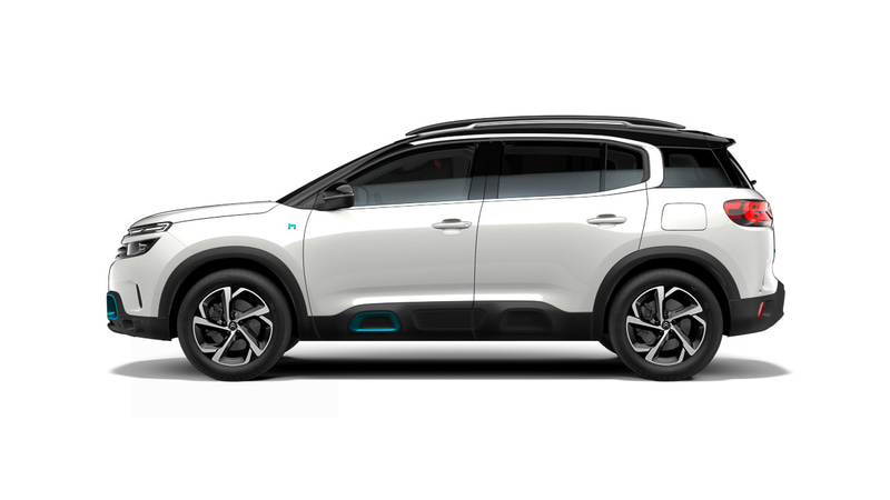 ブラン バンキーズ（受注生産）