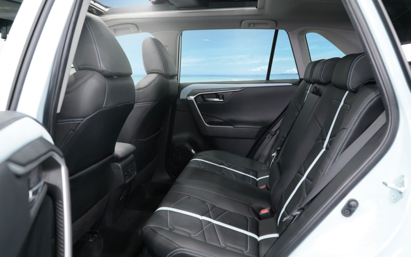 特徴的なデザインが与えられるバディ