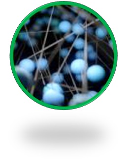 エナジー パッシブ コンパウンド（イメージ）