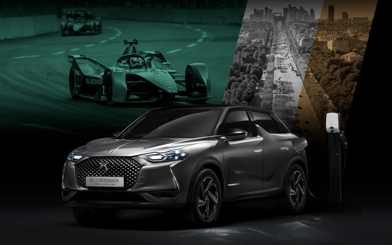 グリ プラチナム/ノアールペルラネラ