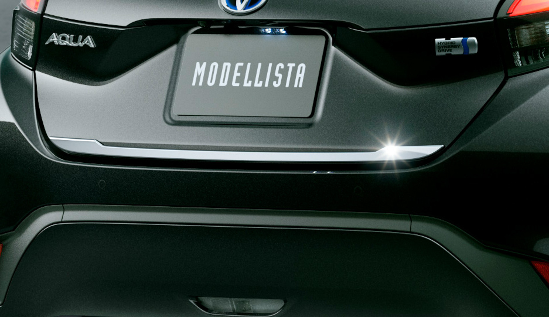 バックドアガーニッシュ（メッキ）