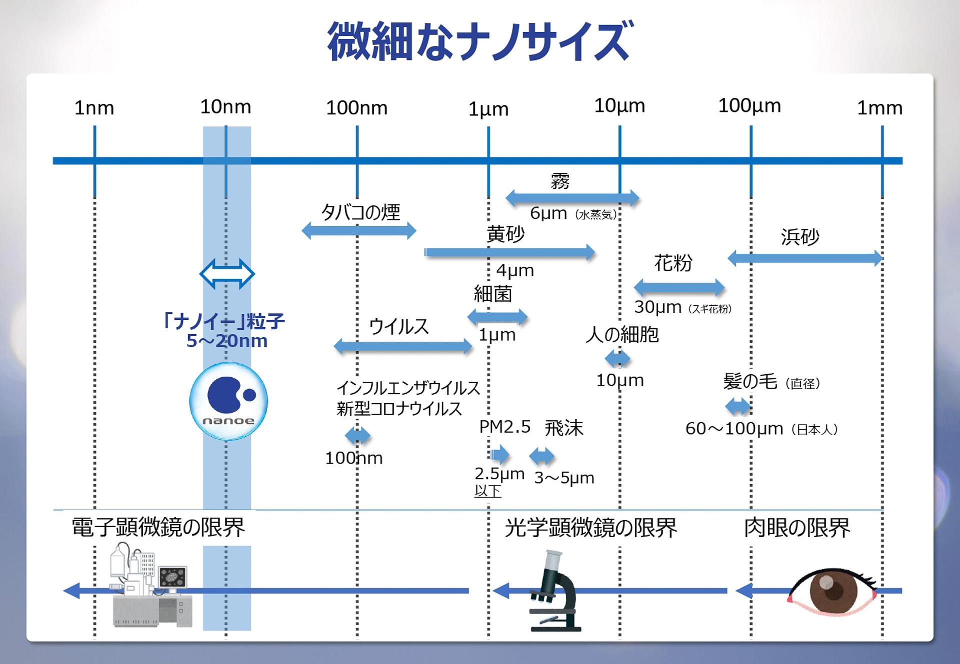 ナノイーのサイズ