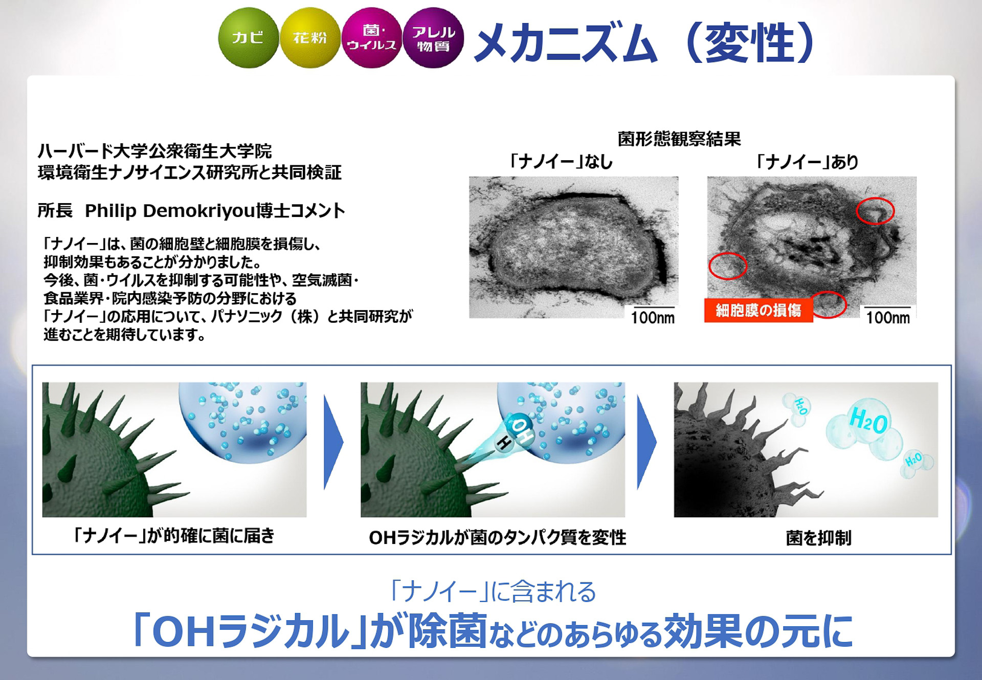 メカニズム（変性）