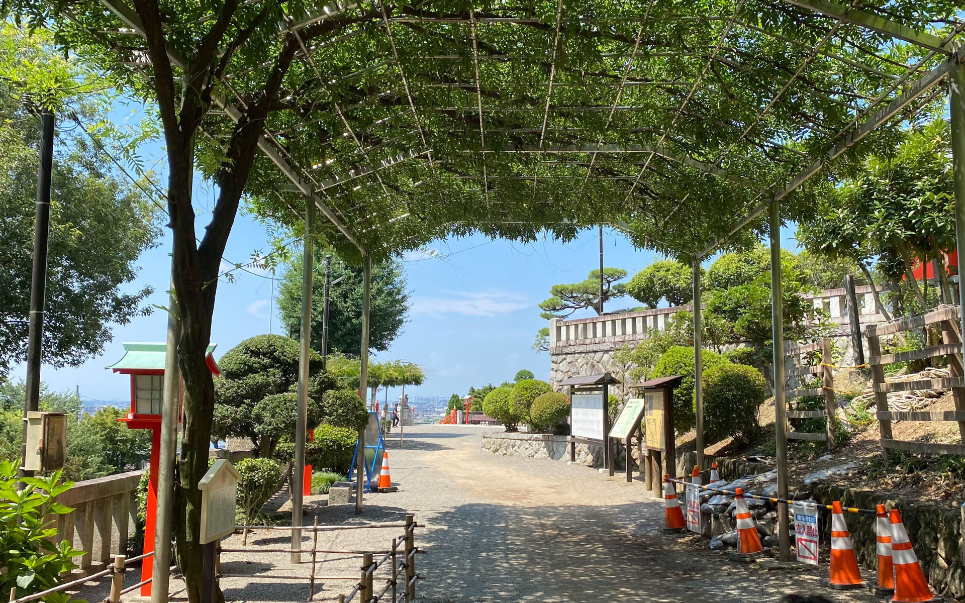 駐車場から本殿を目指す間にあるのが、あしかがフラワーパークから奉納されたという「大藤の子ども」です。なんとその大藤は、樹齢150年以上！　あしかがフラワーパークは最近、かの「鬼滅の刃」に出てくる藤の景色に似ているということで、ファンにとっては聖地と呼ばれていますよね