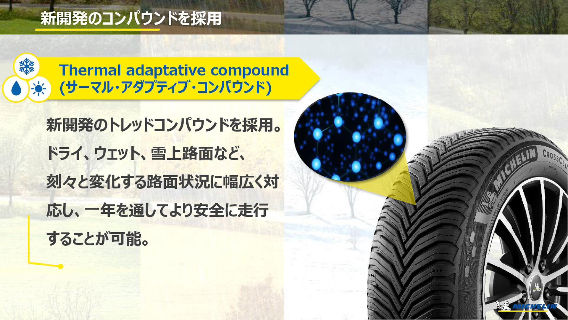 新たに開発されたコンパウンド