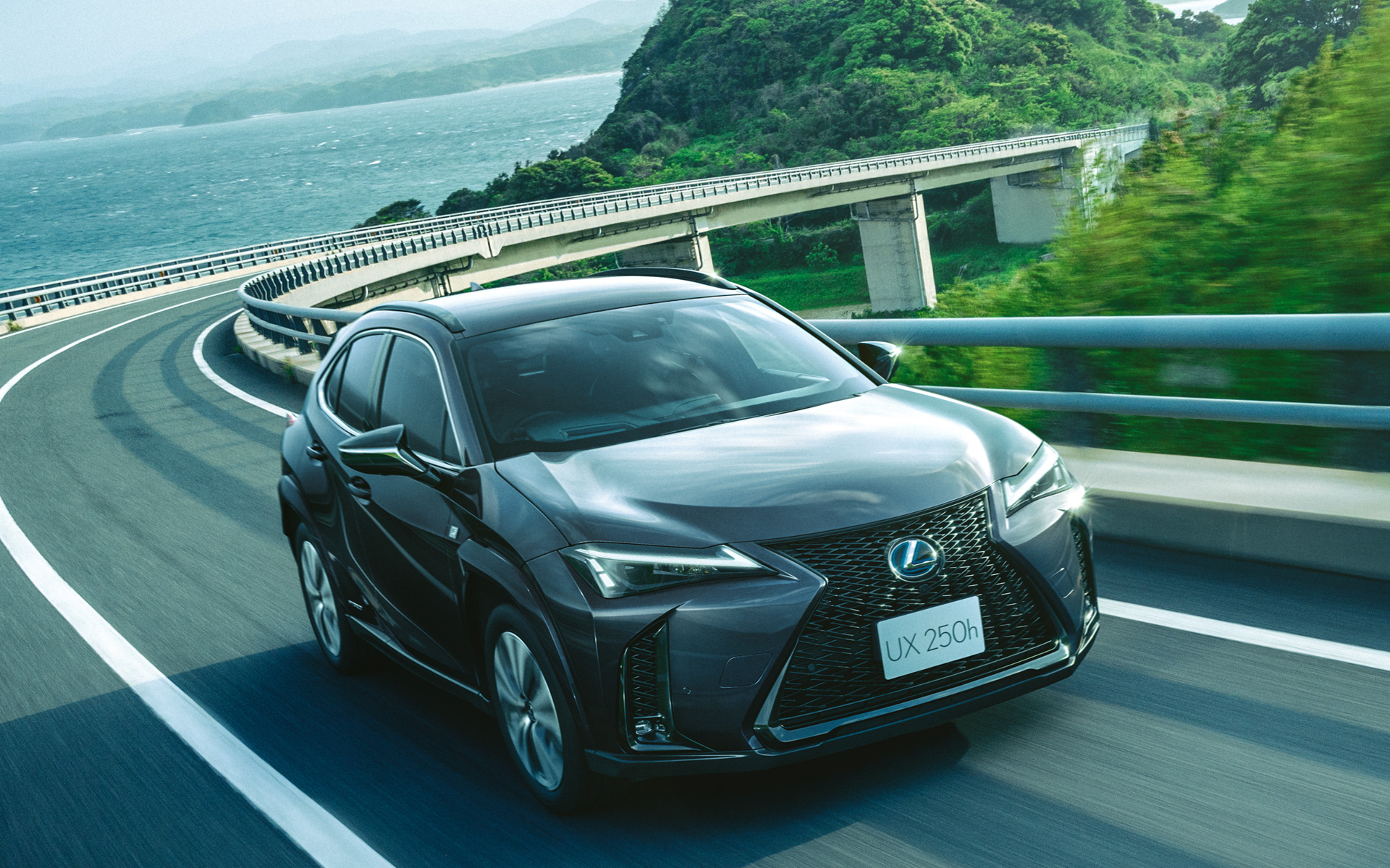 UX250h 特別仕様車“F SPORT Style Blue”