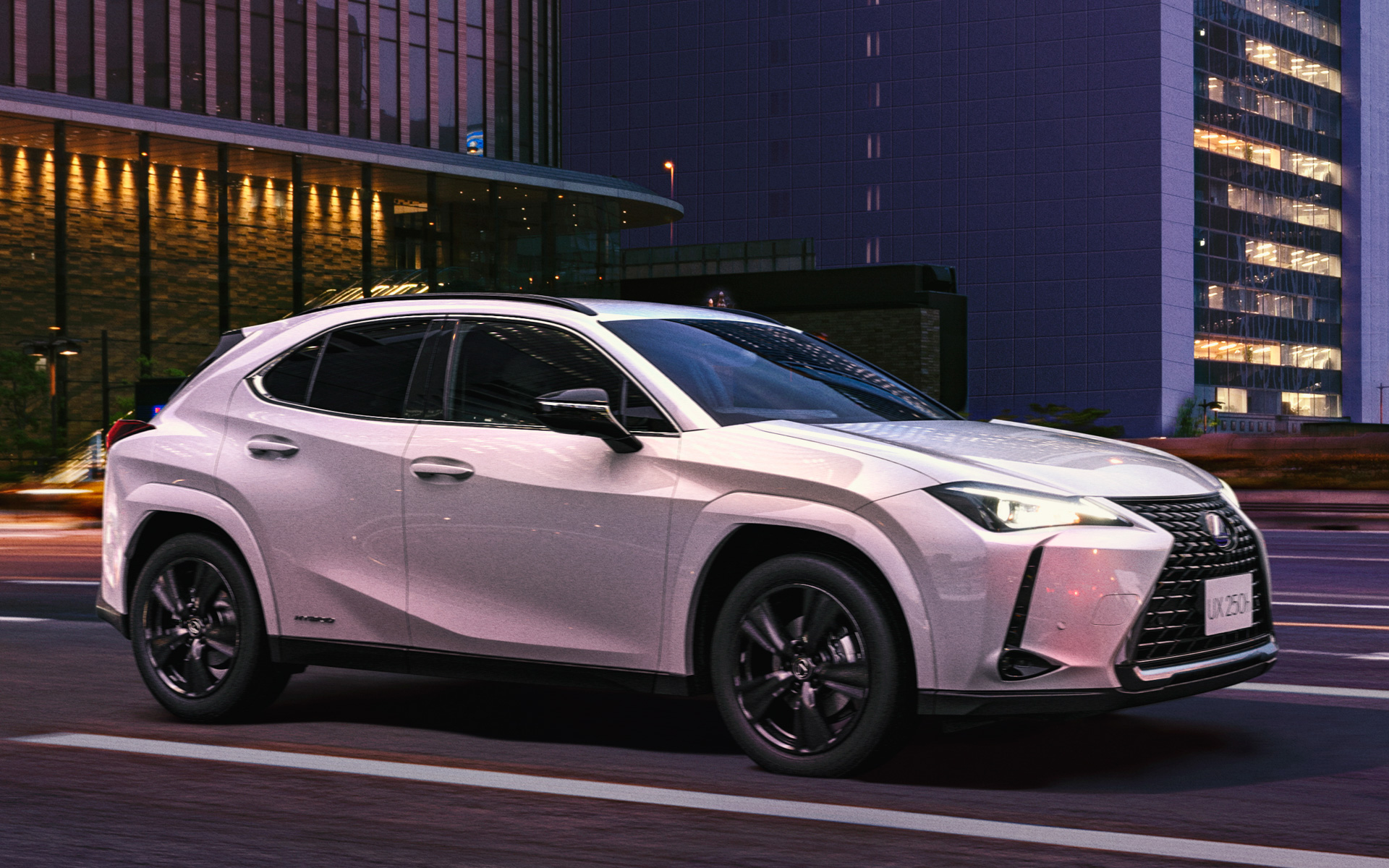 UX250h 特別仕様車“Elegant Black”