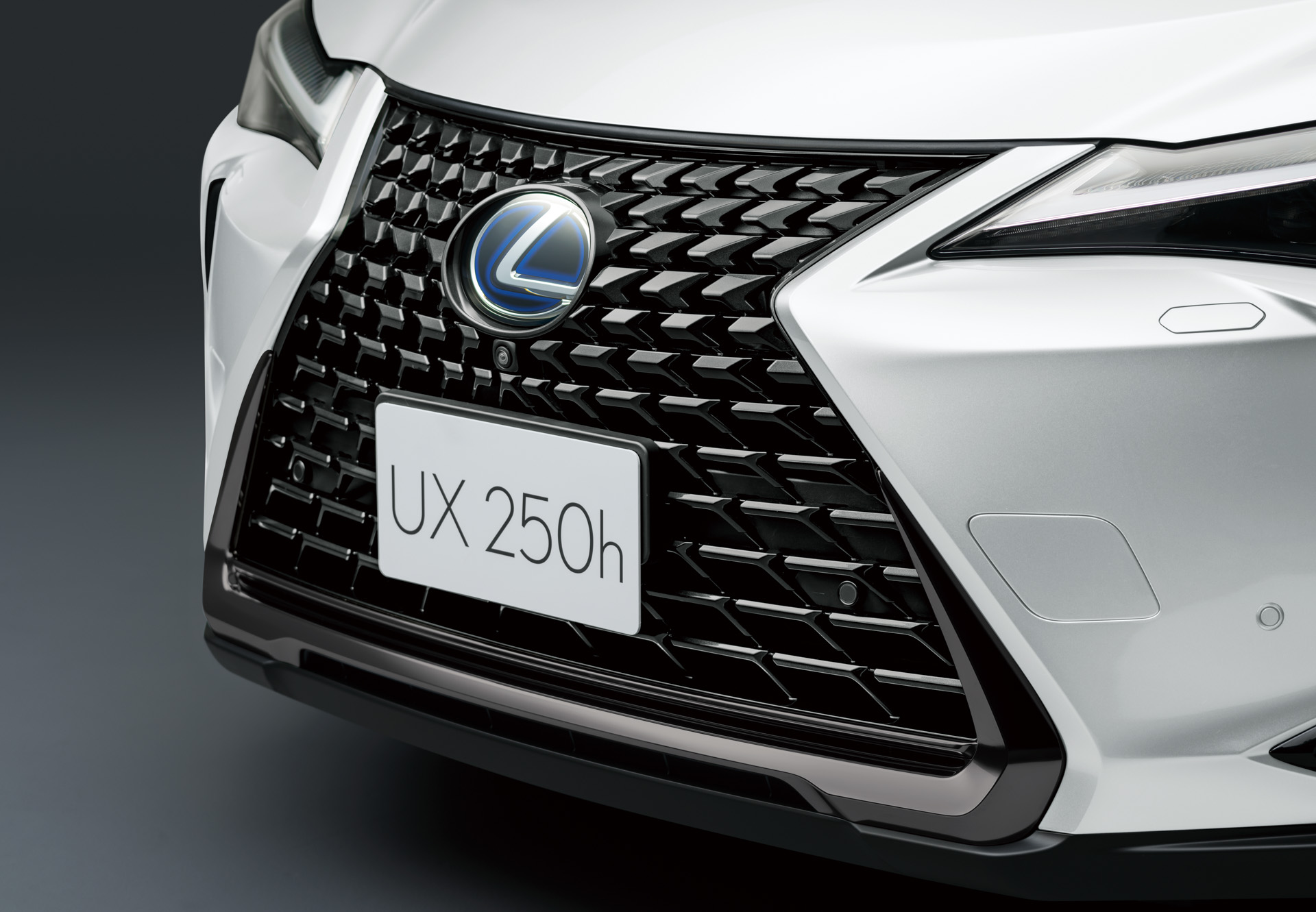 UX250h 特別仕様車“F SPORT Style Blue”
