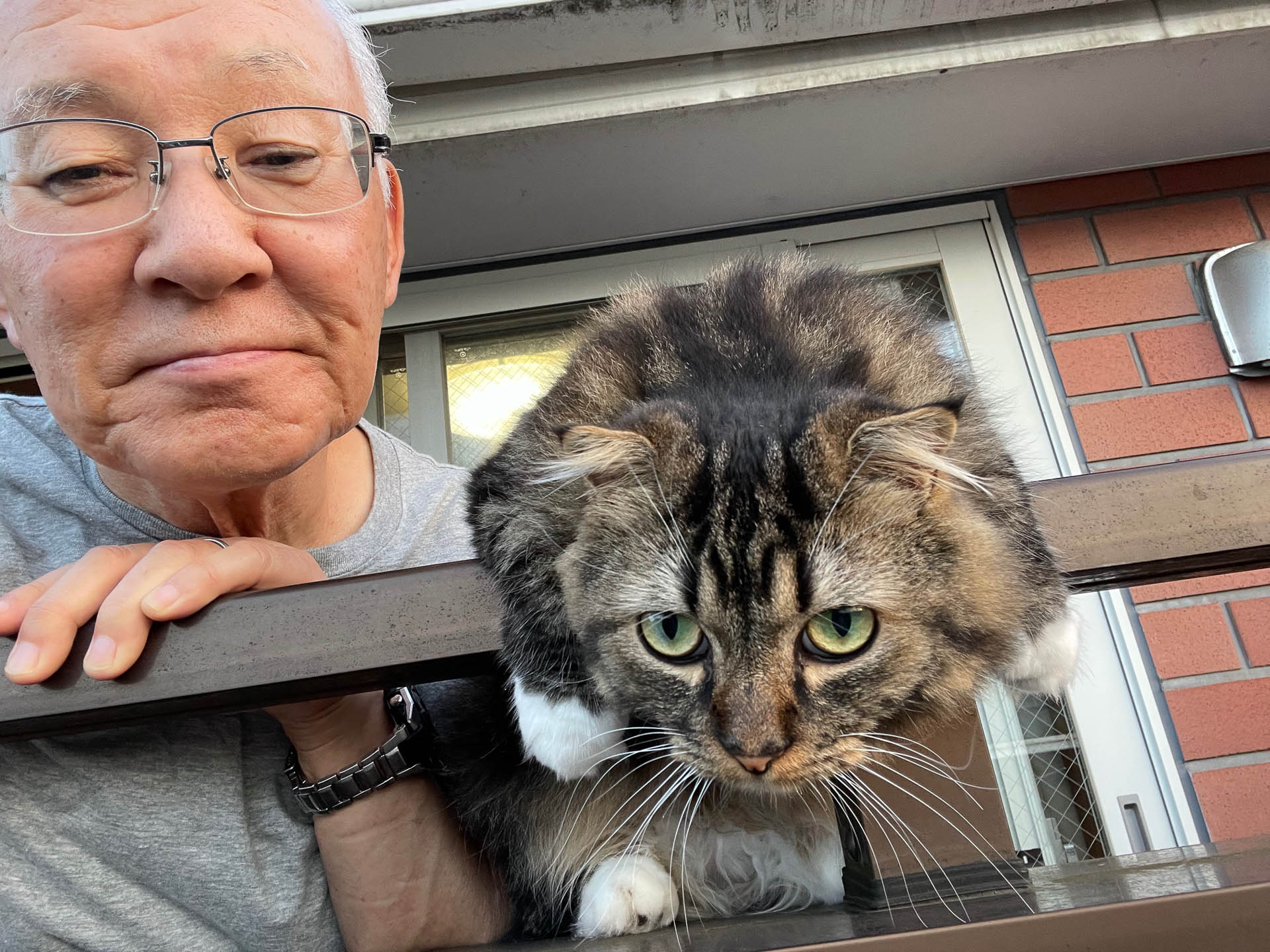 処分をどうするかとムクに相談しても答えるはずもなく……。虫を追いかけるのに夢中です