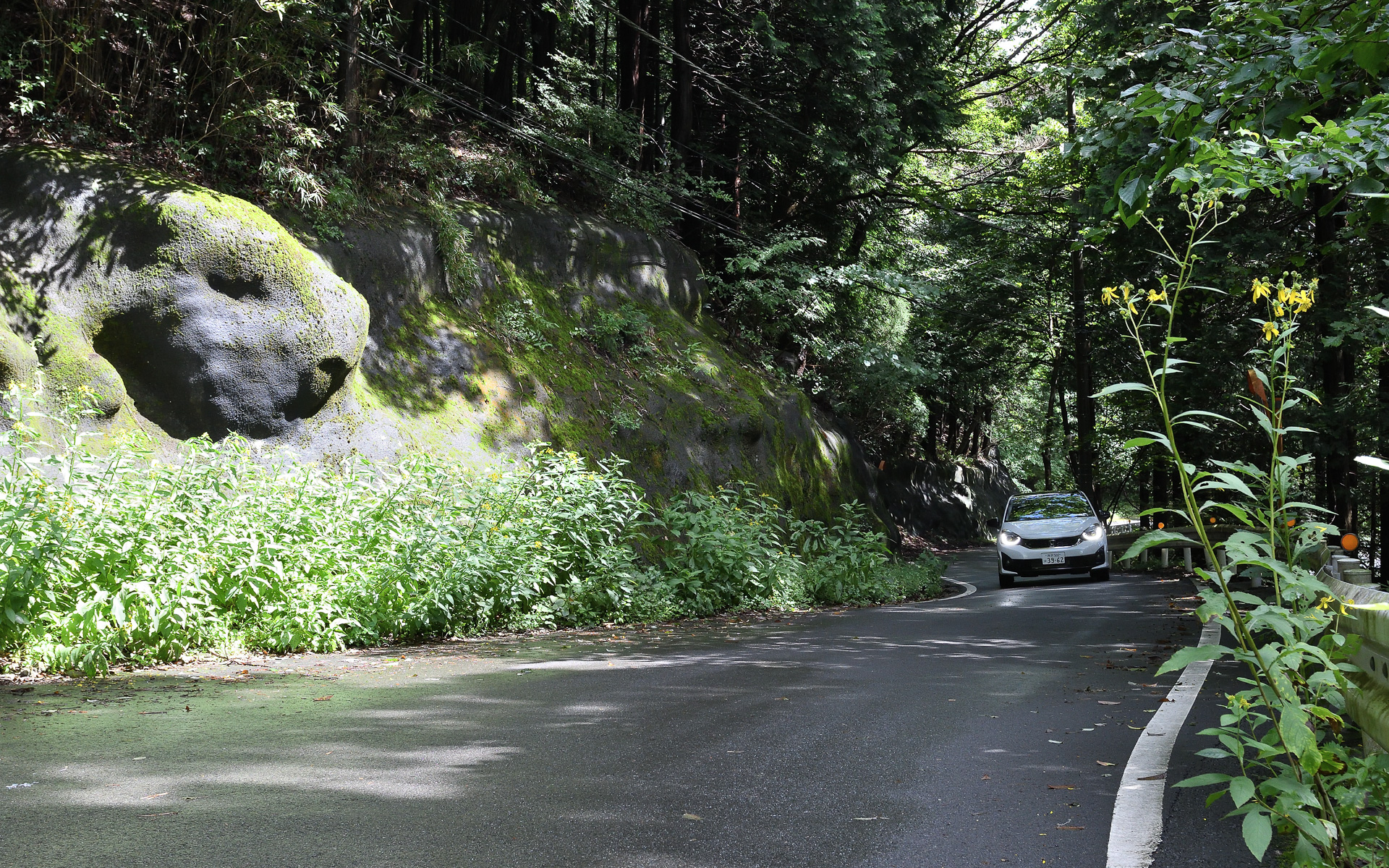 峠道の上りコーナーもキビキビとクリアしていくフィット e:HEV Modulo X