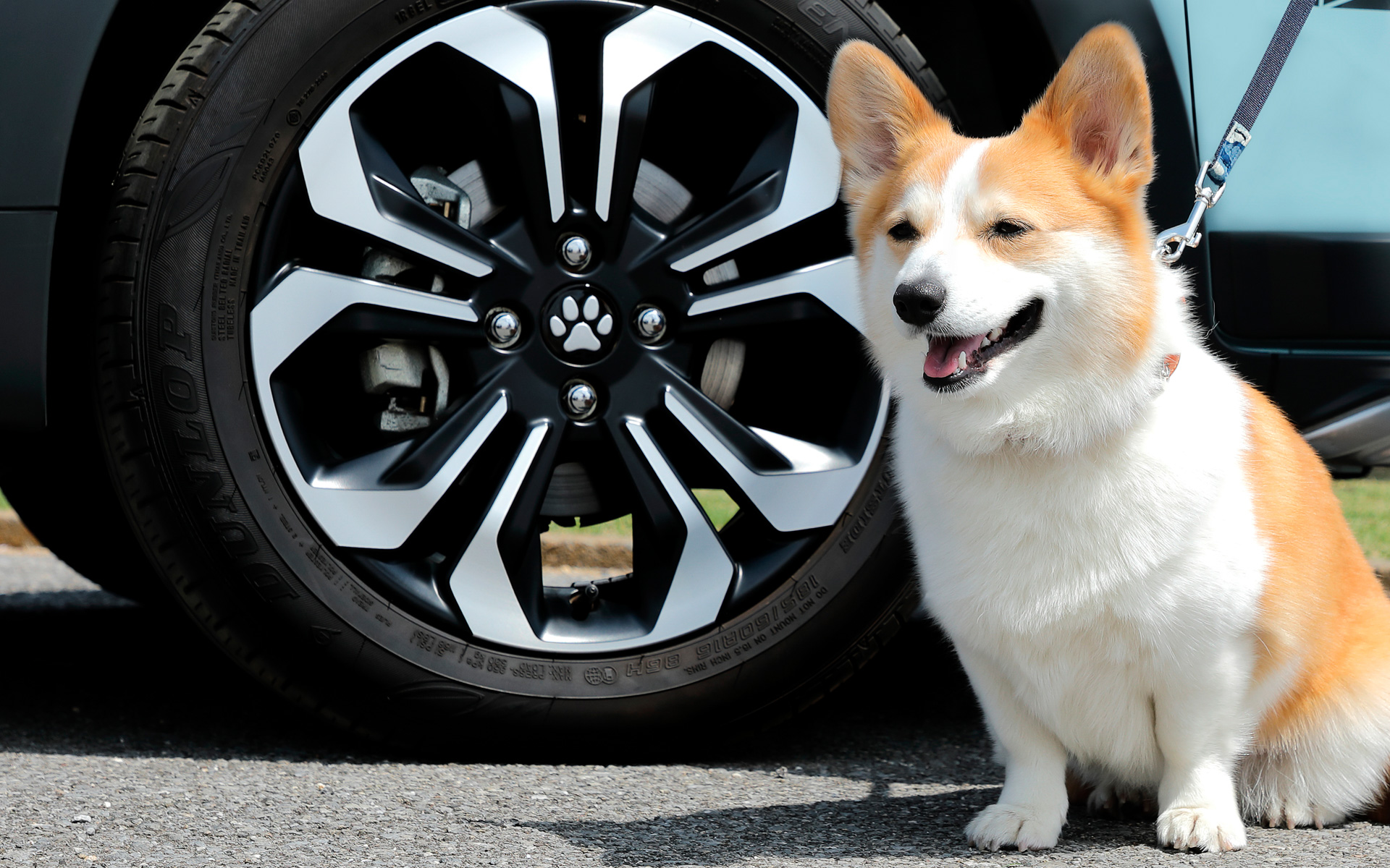 ホイールセンターキャップ装着イメージ