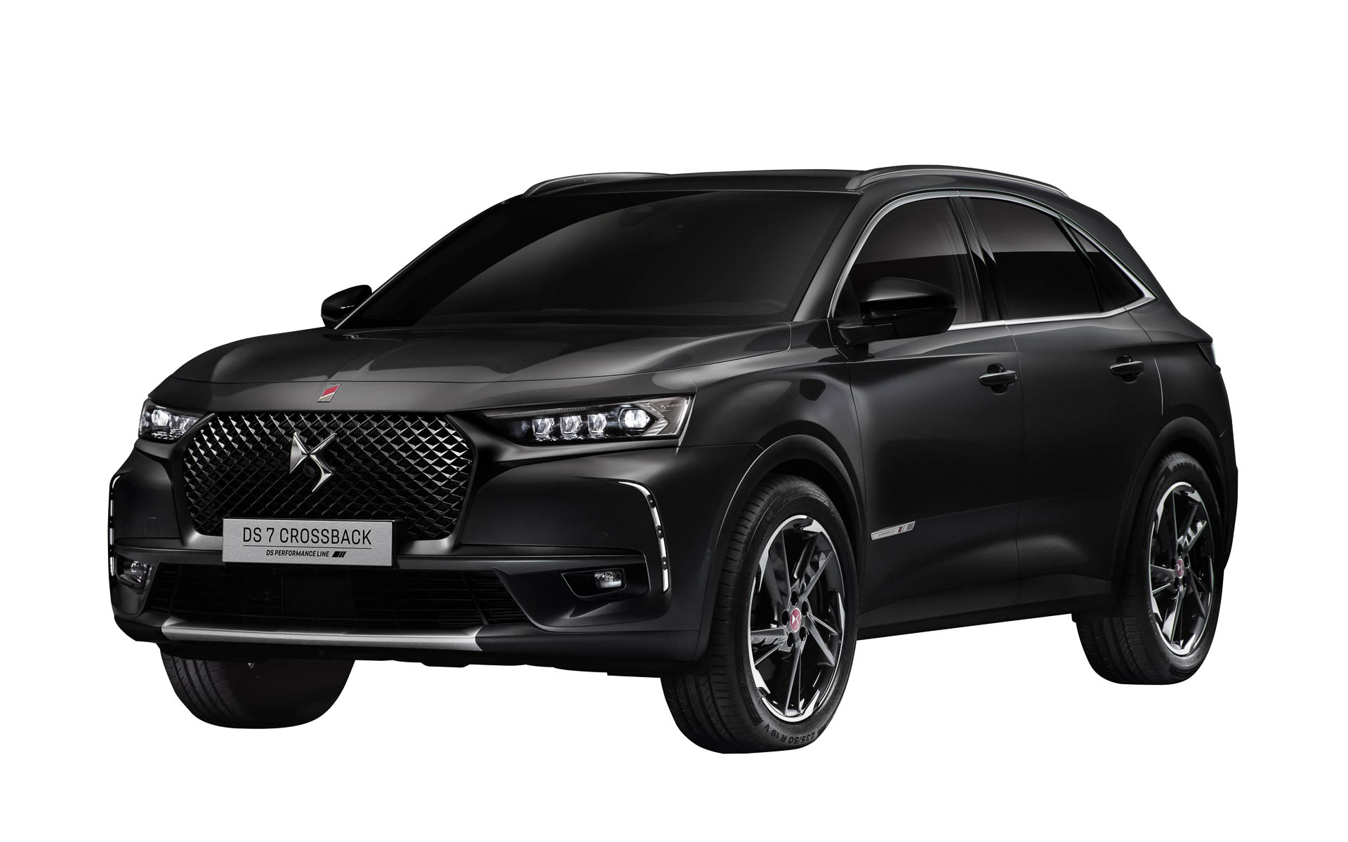 ノアール ペルラネラ