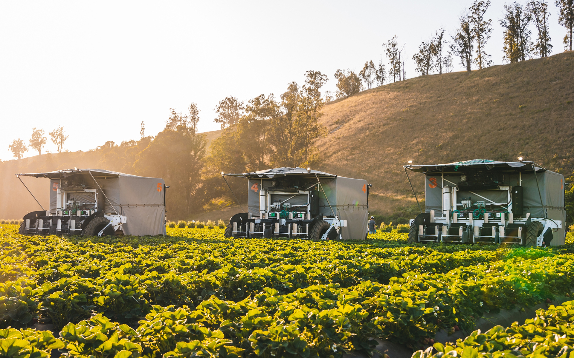 イチゴ収穫ロボット（外観）