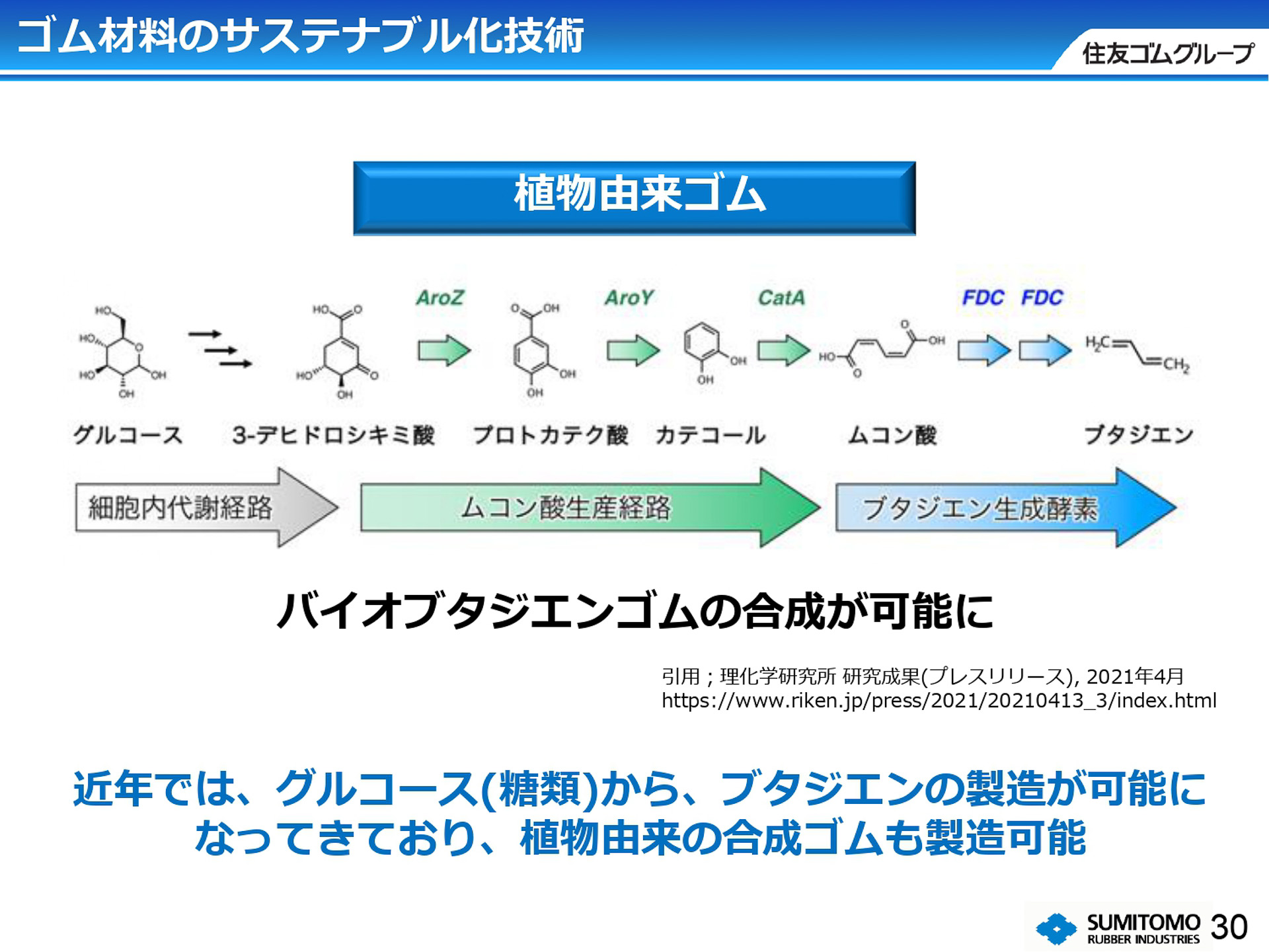 植物由来の合成ゴムの技術も進化している