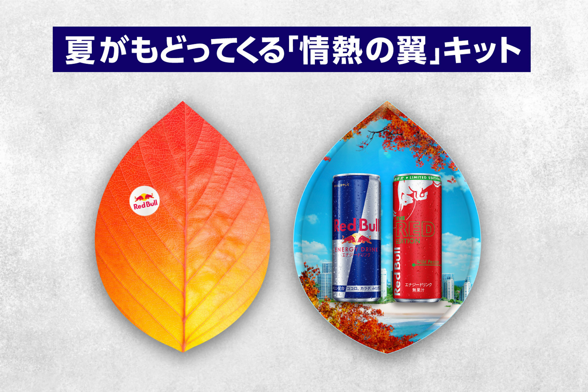 夏がもどってくる「情熱の翼」キット