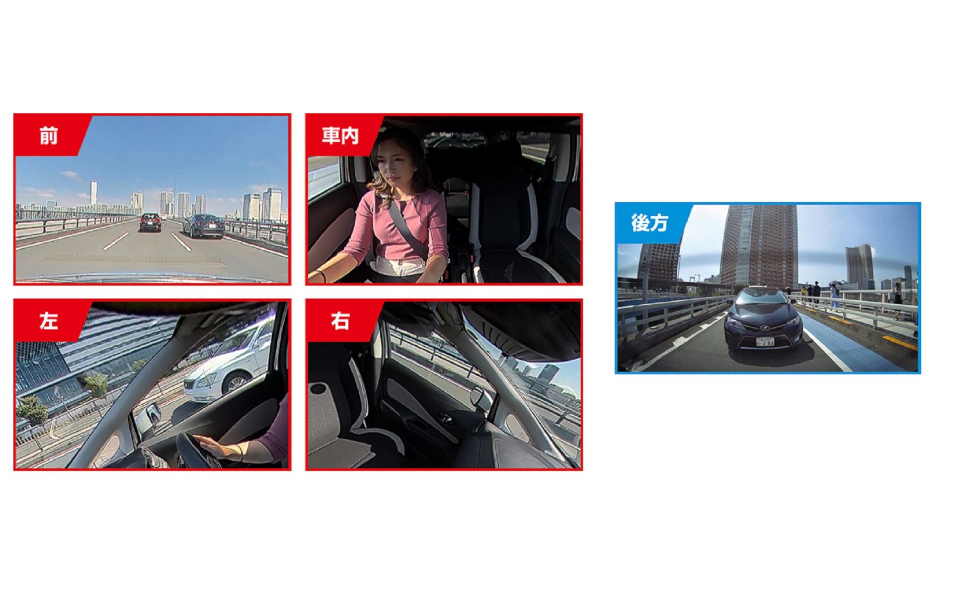 表示内容もボタン1つで切り替えが可能