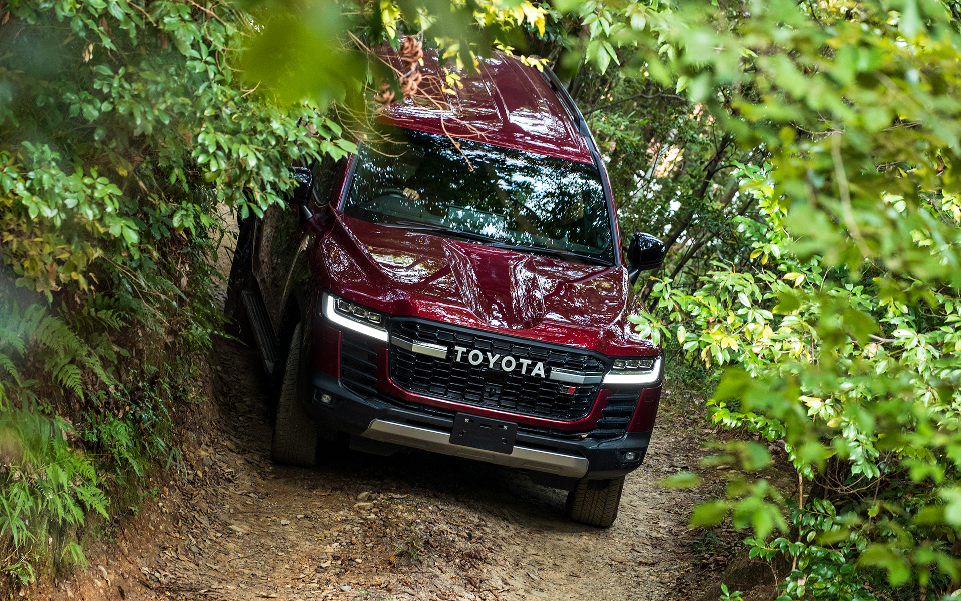 コース幅が狭くなっている部分でもマルチテレインモニターで安全確認しながら走っていける