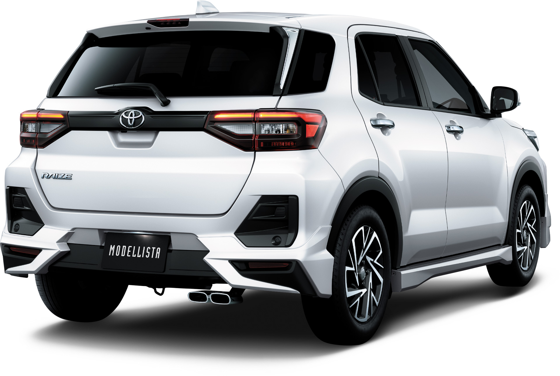 ELEGANT ICE STYLE（リアビュー）