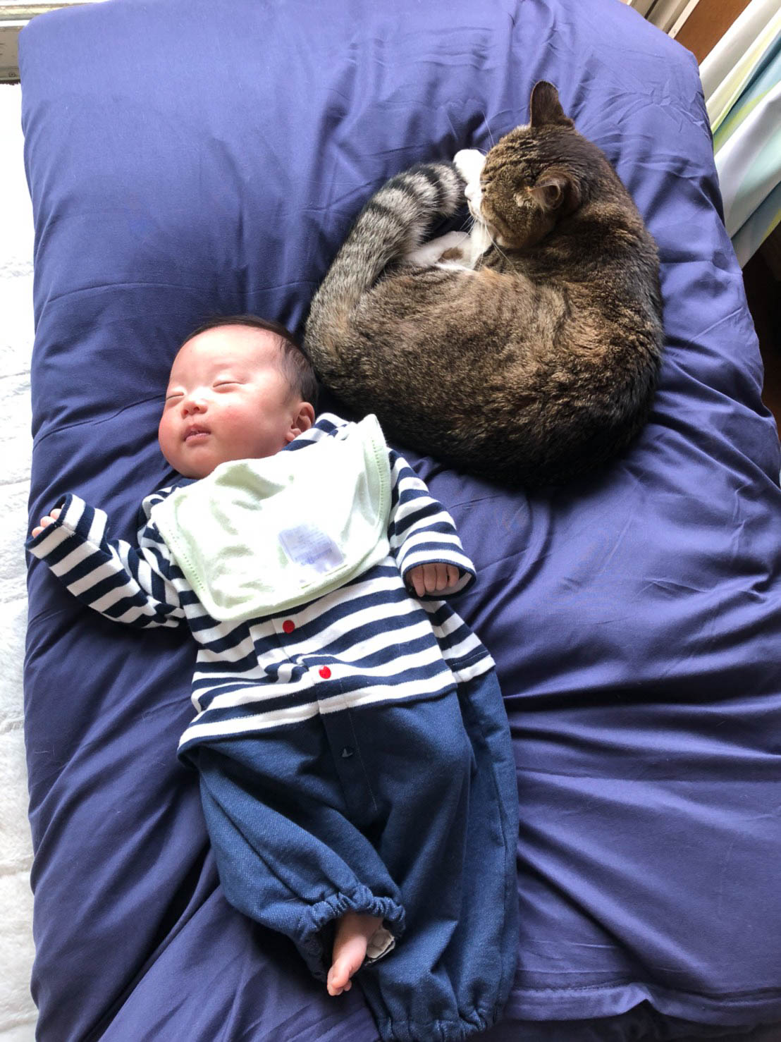 人間の赤ちゃんにも優しかったです。嫌がらずにされるがままです