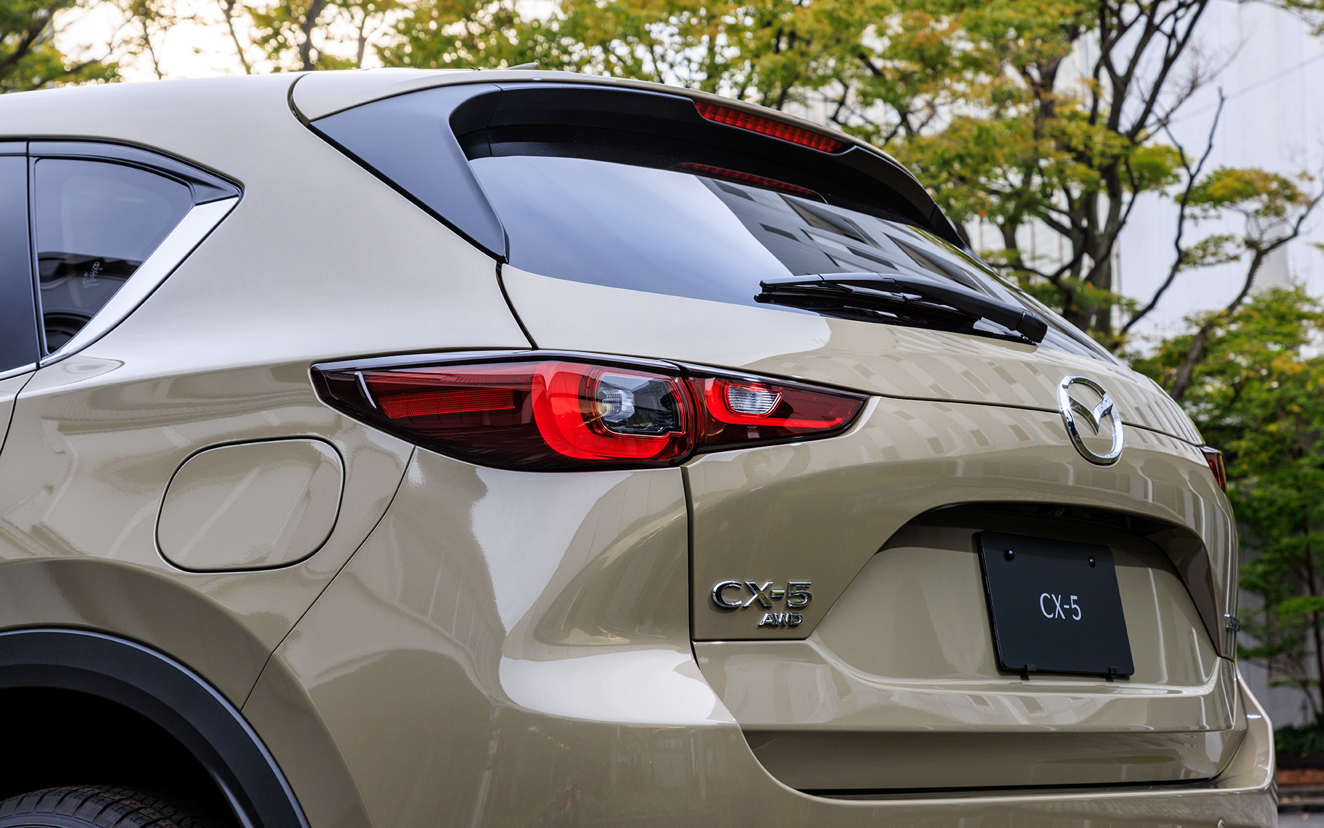 楕円形状のテールランプを採用することで柔らかな印象になった