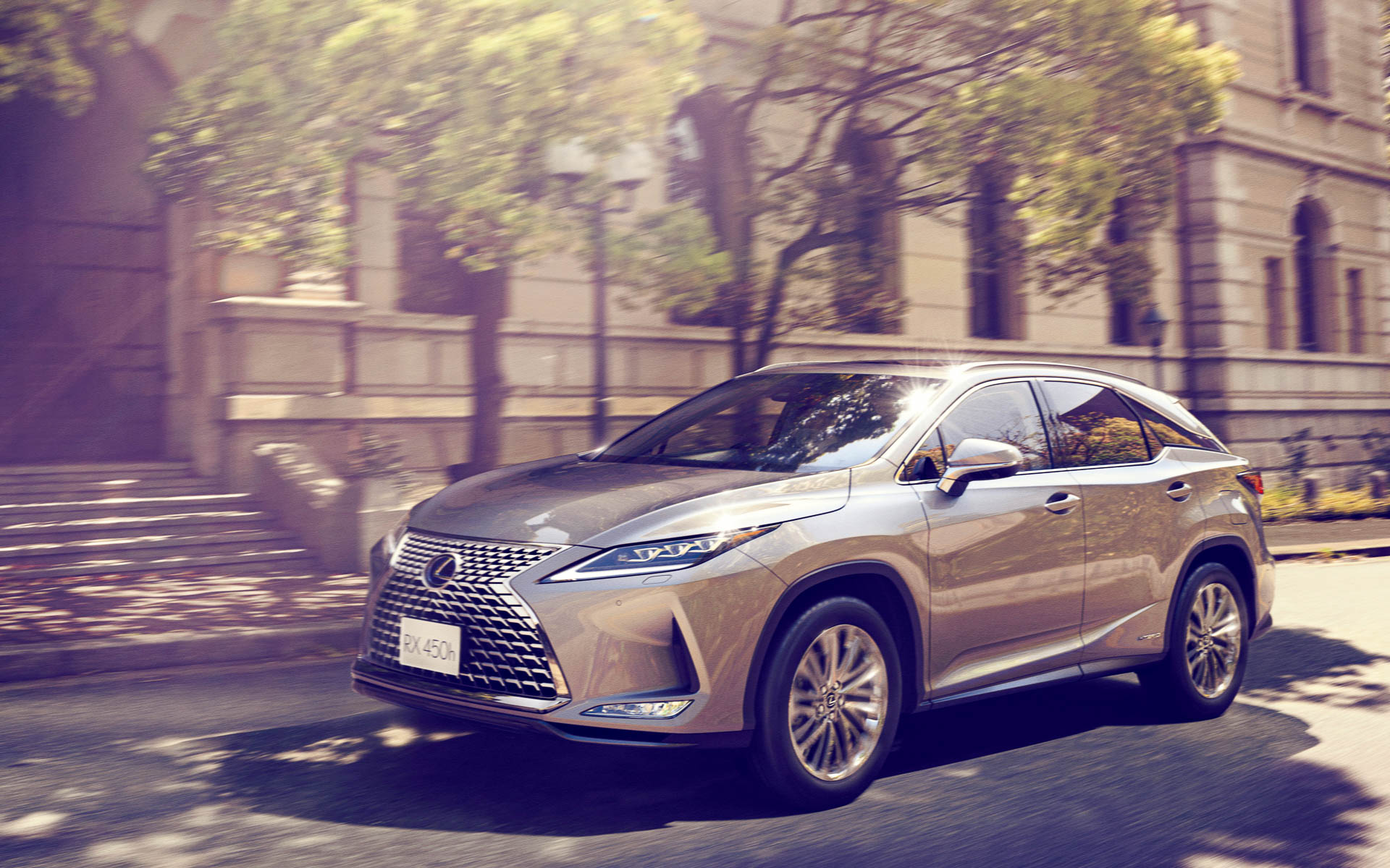 RX特別仕様車“Elegant Tourer”