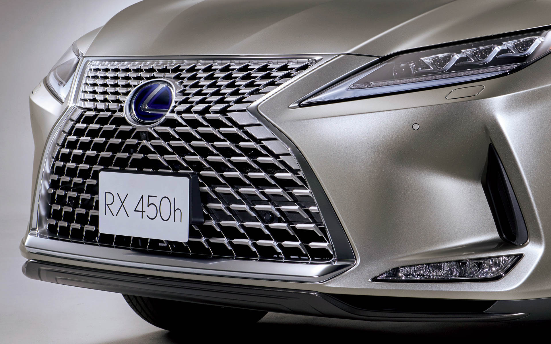 RX 特別仕様車“Elegant Tourer”スピンドルグリル（特別仕様車専用シルバー塗装）