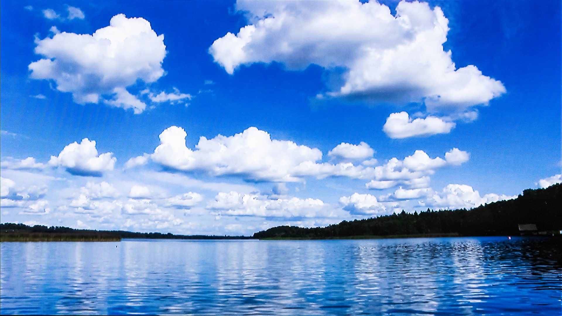 市販のブルーレイだけでなく自宅で録画したディスクも再生可能です