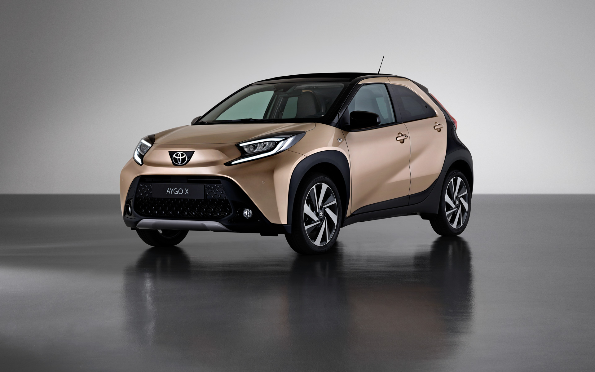 Ginger（ジンジャー）