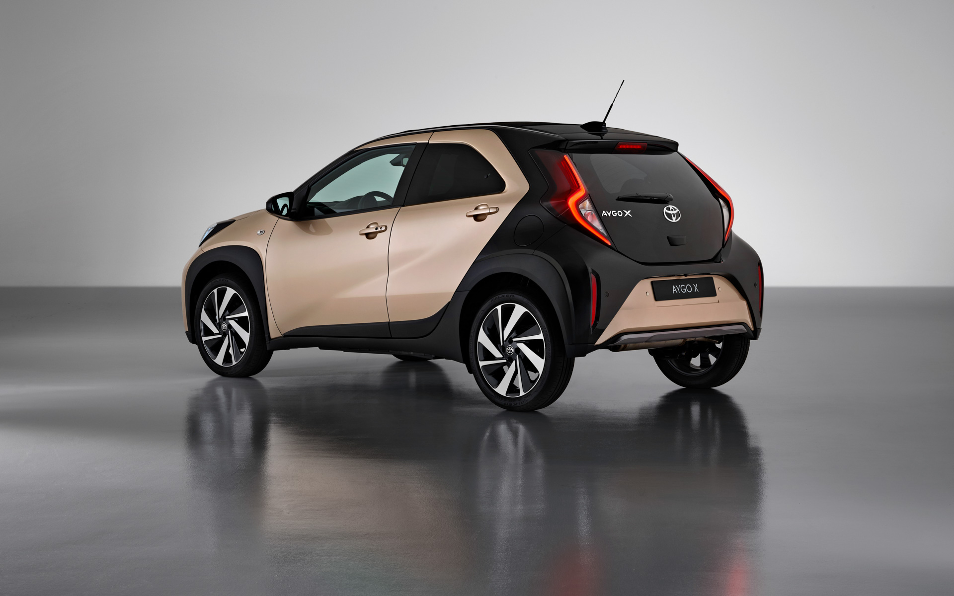 Ginger（ジンジャー）