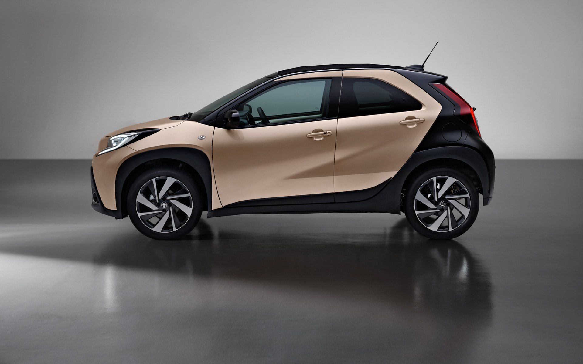 Ginger（ジンジャー）