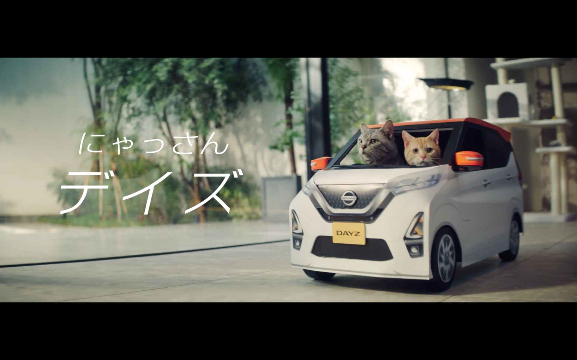 「にゃっさんデイズ」第2弾のWebムービーが公開
