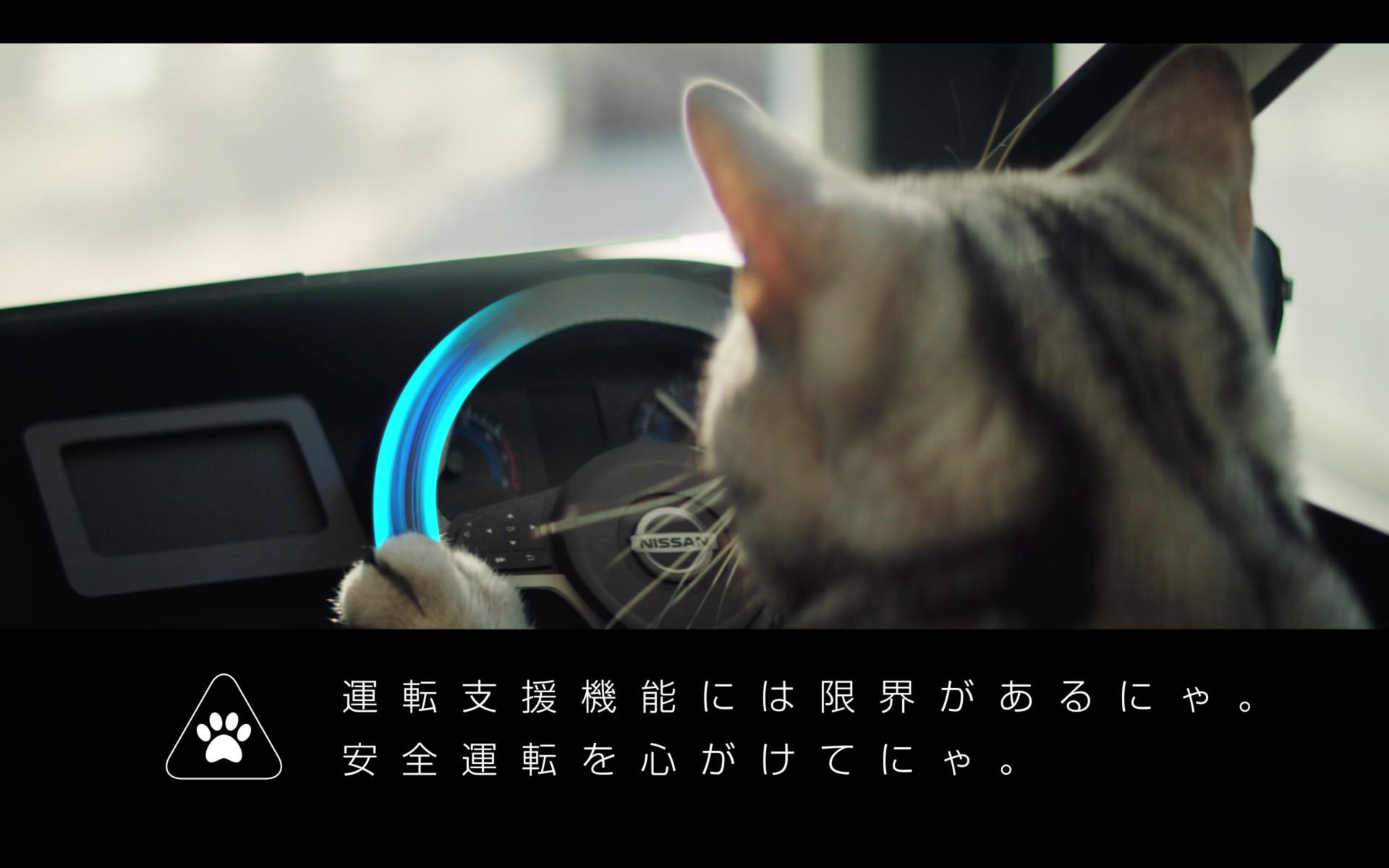 ねこだけど、ProPILOT（プロパイロット）だって操作しちゃう