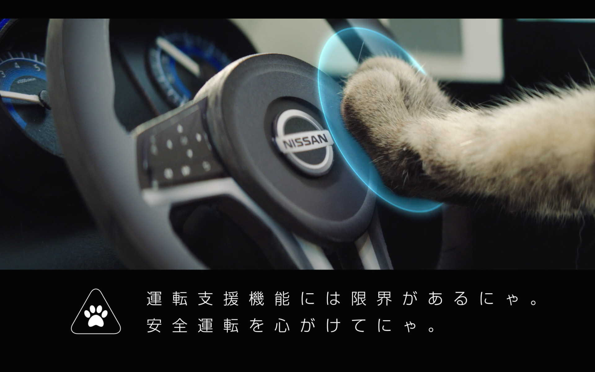 ねこだけど、ProPILOT（プロパイロット）だって操作しちゃう