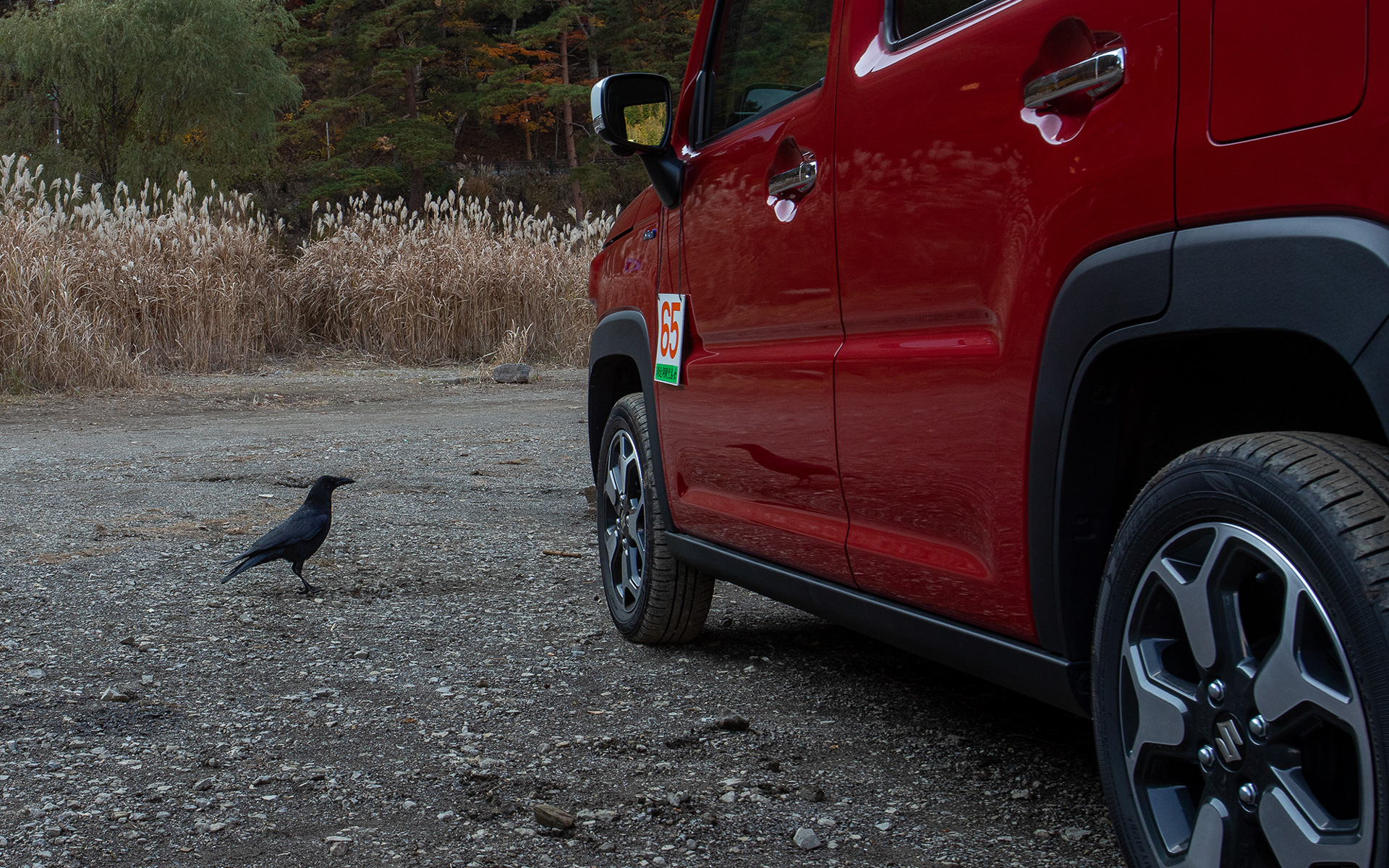食べてしまうともうやることがない。精進湖を眺めながらボケッとしながら過ごしたり湖畔を歩いたり。そんな時間もまたいいのだ