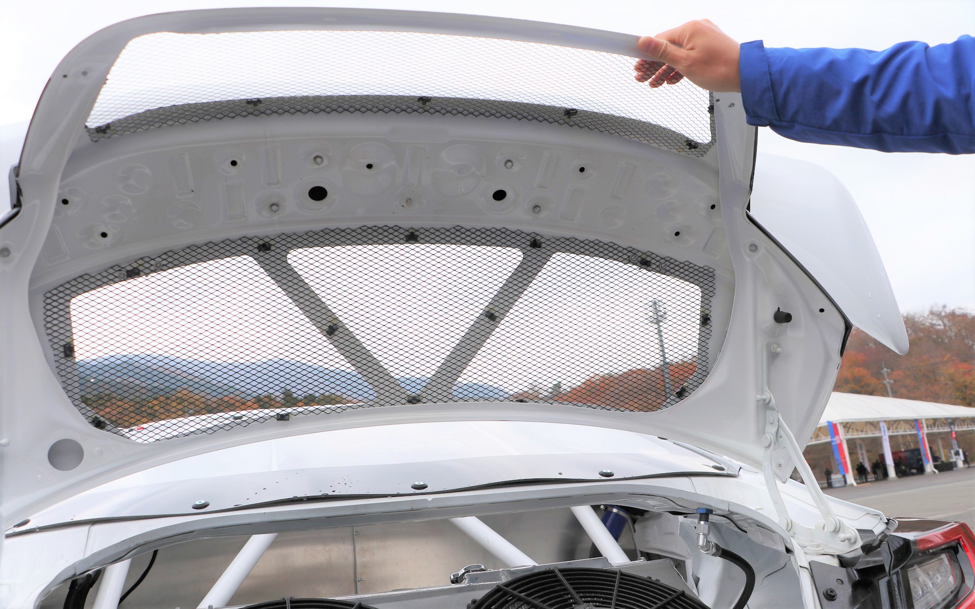 トランクフード