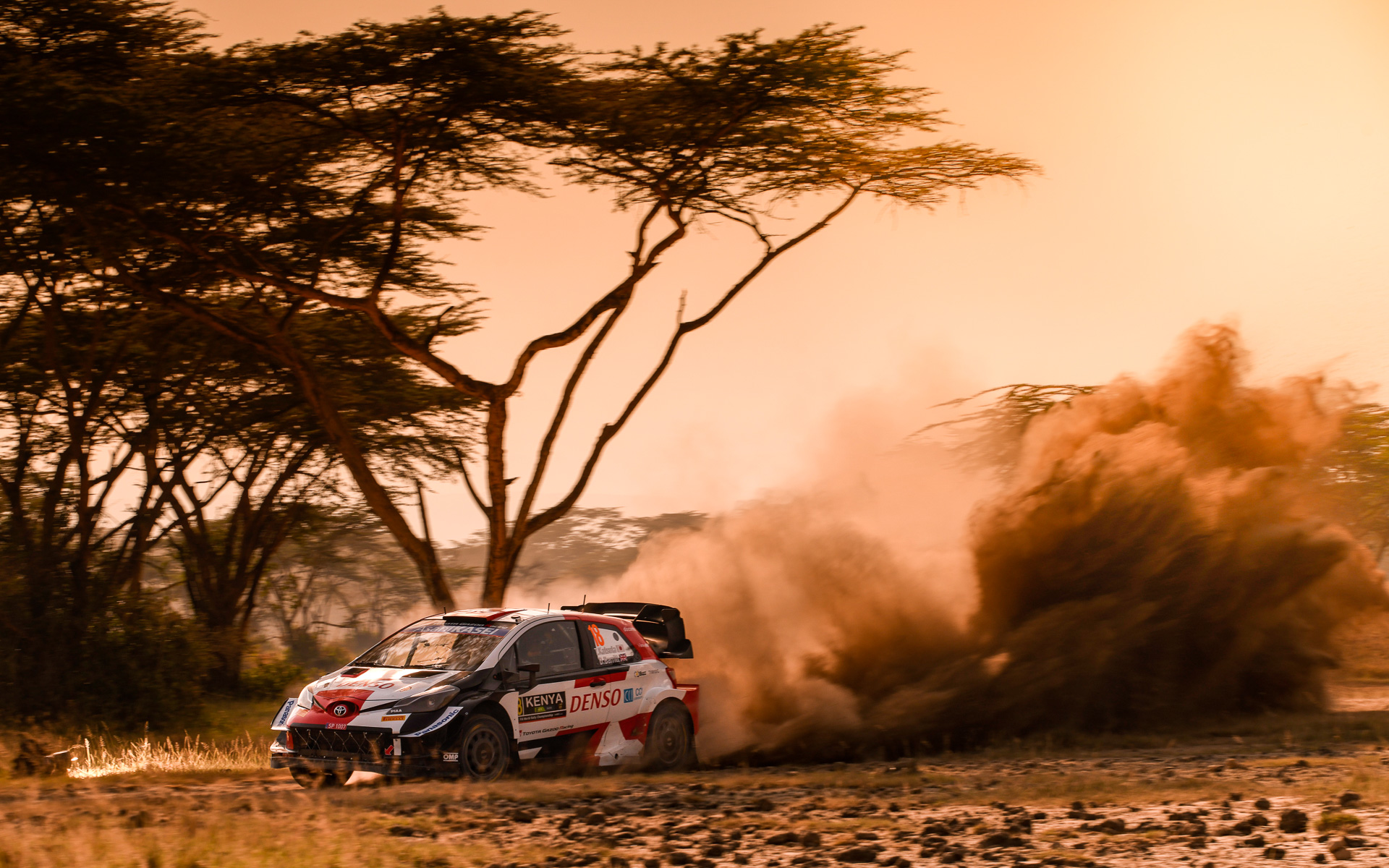 勝田選手のサファリ・ラリーにおける走りを「非常によいパフォーマンスを見せてくれた」とラトバラ代表は評価した