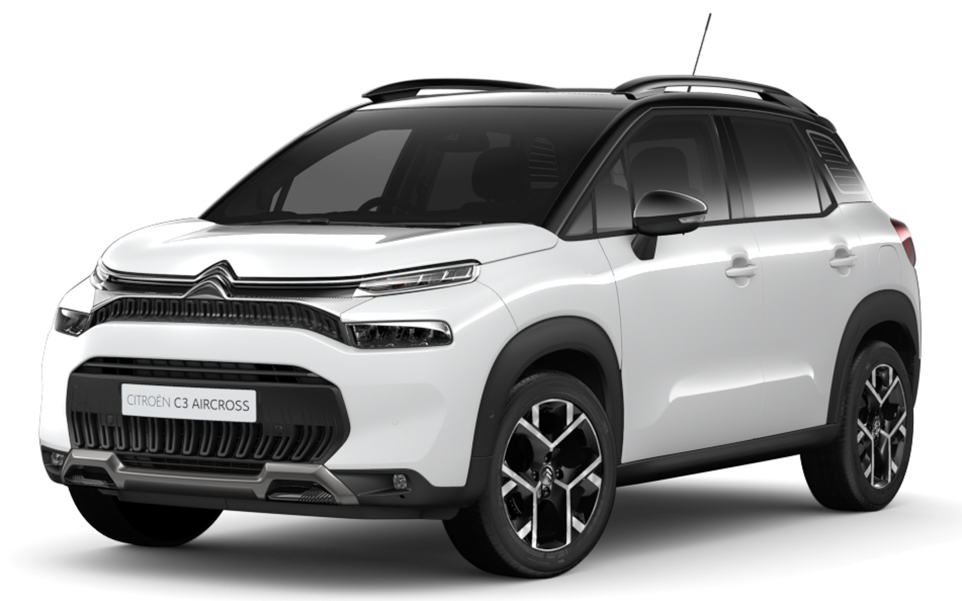 ブランバンキーズ