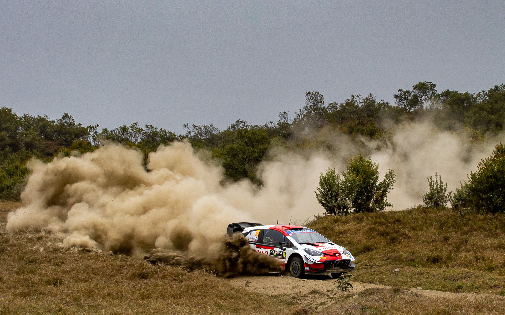 2002年以来のWRC開催となったサファリ・ラリーではマシンにダメージを受けつつ、最終日まで安定した速さを披露した