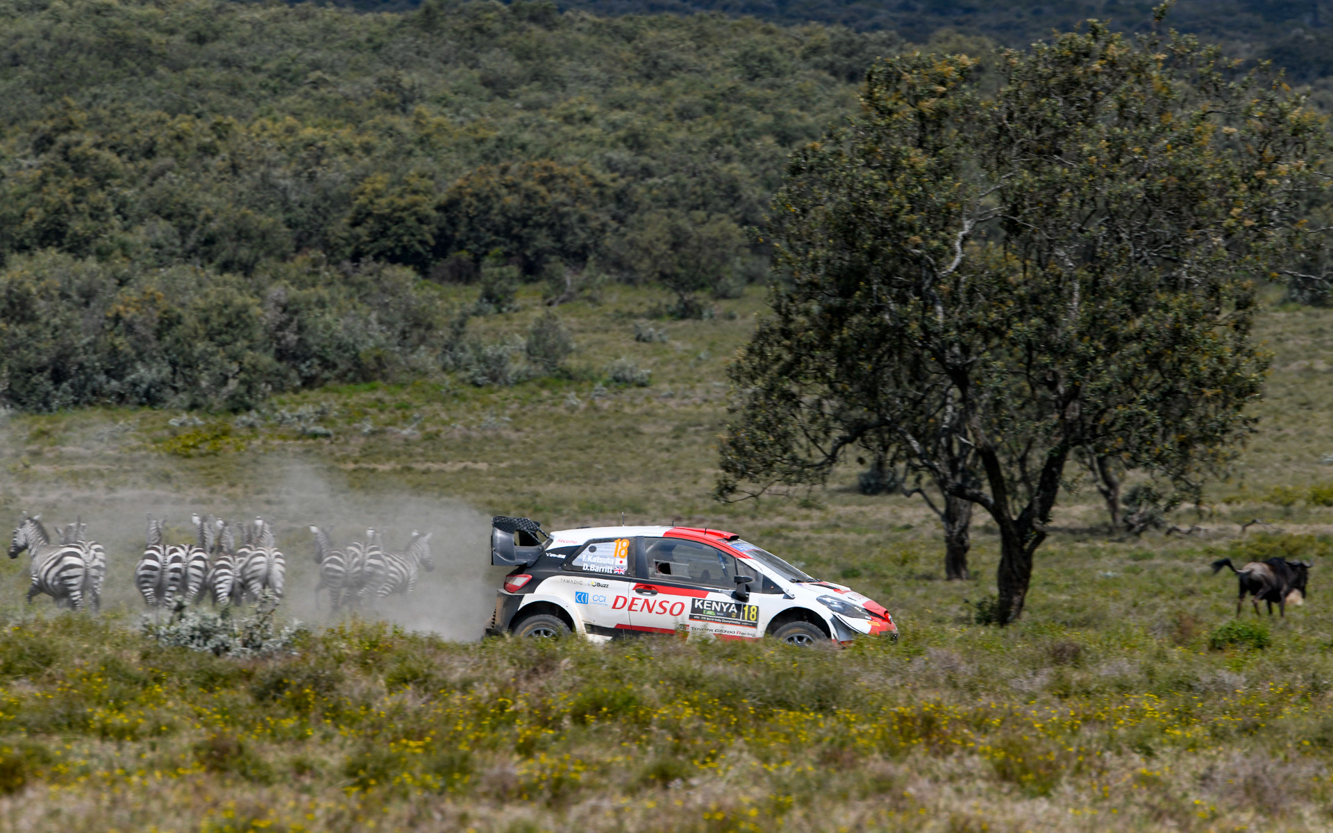 2002年以来のWRC開催となったサファリ・ラリーではマシンにダメージを受けつつ、最終日まで安定した速さを披露した