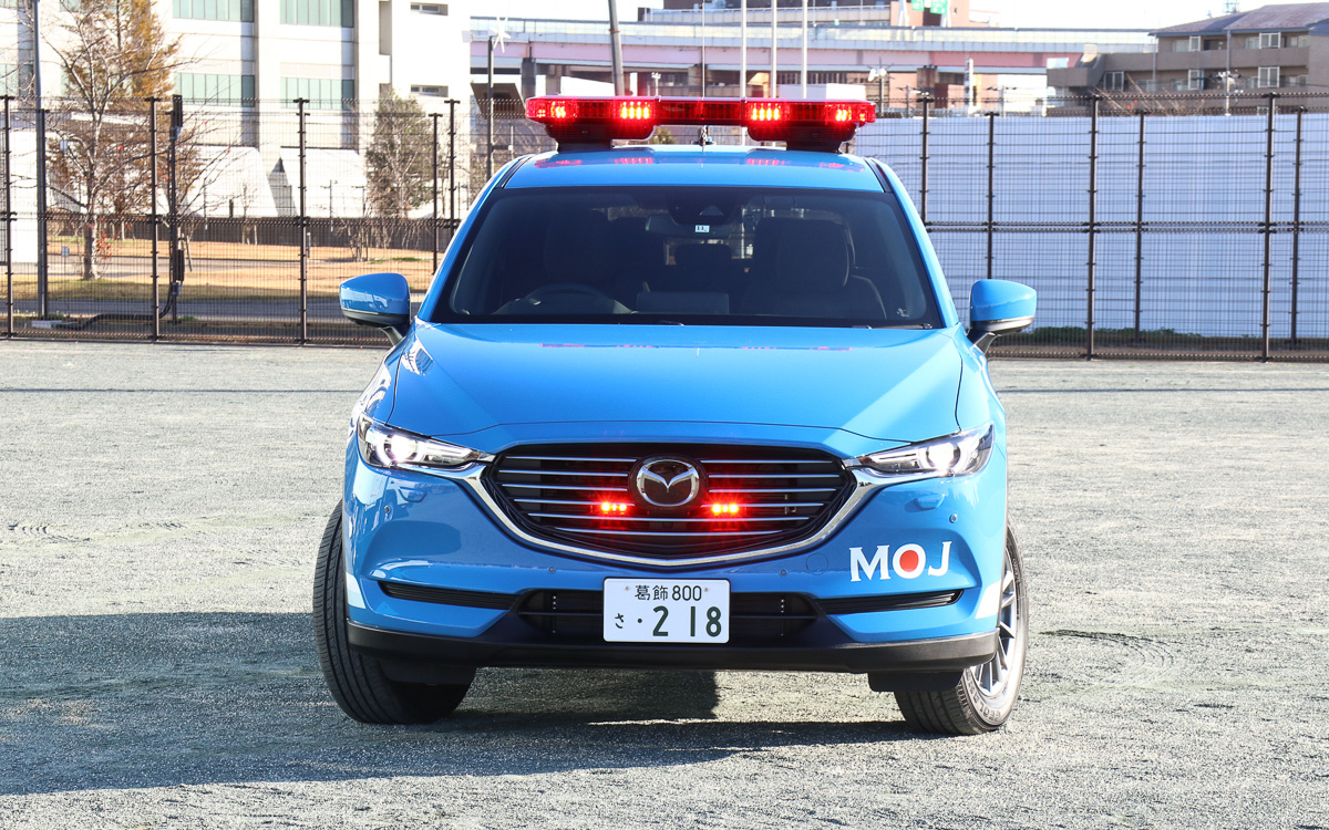 指定カラーの青に塗り、白と灰色のラインは塗装によるものとなる