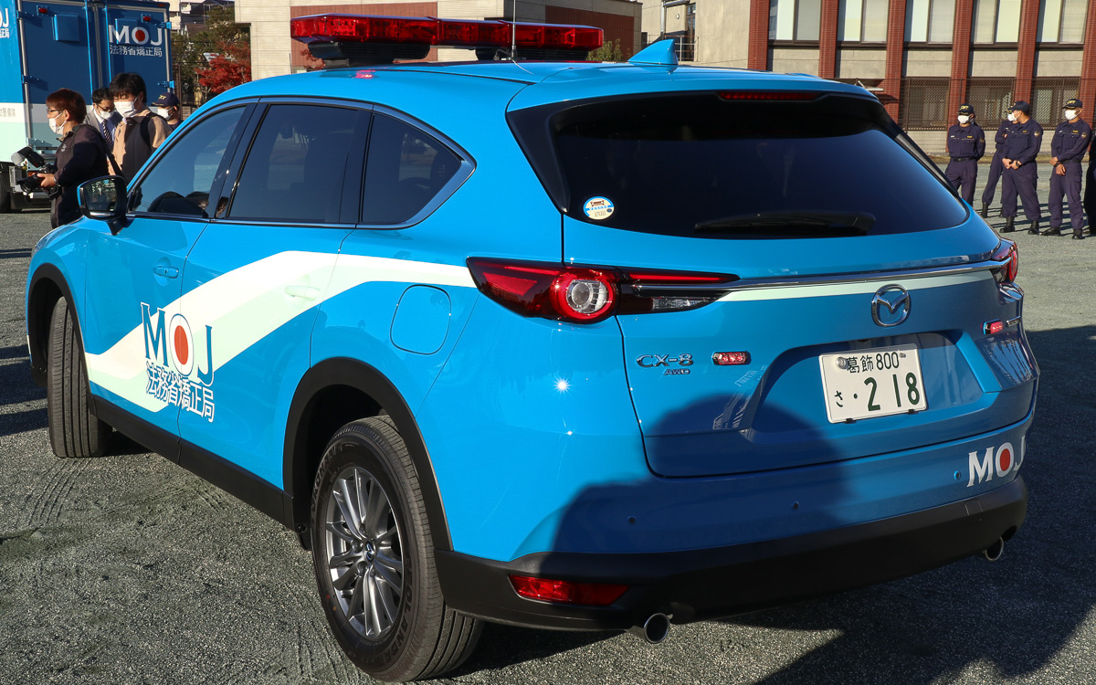 指定カラーの青に塗り、白と灰色のラインは塗装によるものとなる