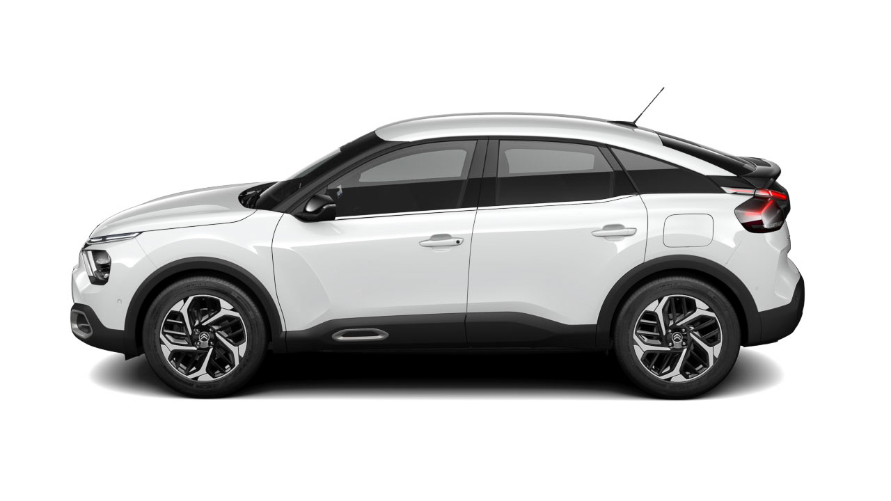 ブラン バンキーズ